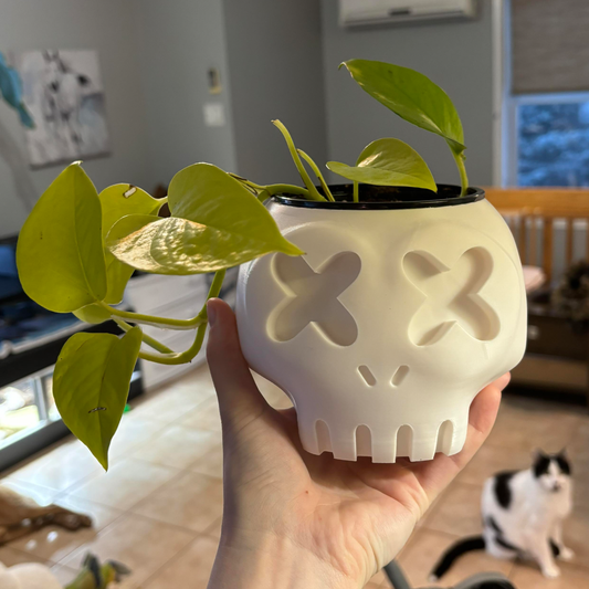 Hand holding a white 3d printed cartoon skull planter