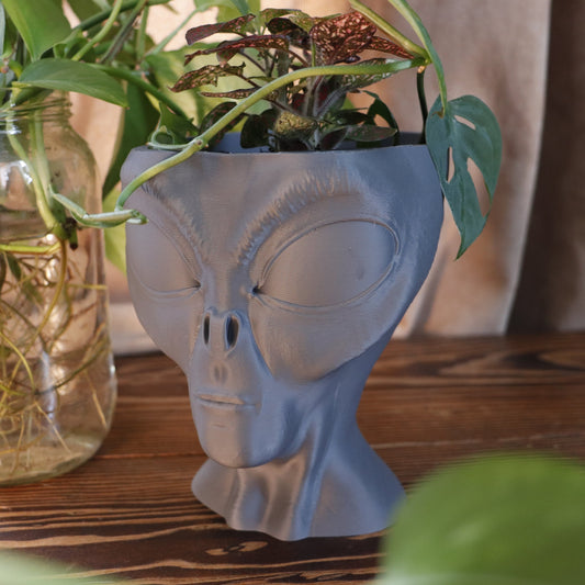 Indoor Alien Head Planter Pot