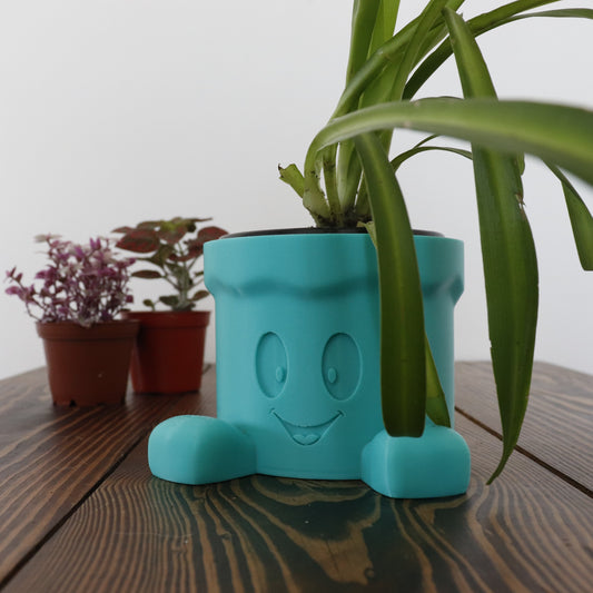 Cute cartoon character indoor planter on a wood table