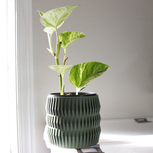 Aeon - Indoor Planter Pot