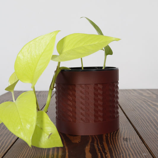 Astra - Indoor Planter Pot